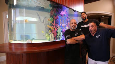 7:00 AM: Tanked (S7) | Discovery Channel | 11/2 2026