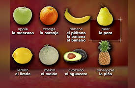 Learning Spanish: How to Understand and Speak a New Language: Talking about the Past: Acabar and Hace