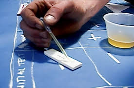 MythBusters Season 1: Poppy Seed Drug Test