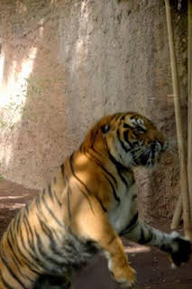 19:30: Crónicas del zoo | Andalucía TV | 9/14 2026