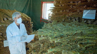 19:40: 360° Reportage | Arte | 3/28 2026