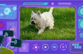 Venuso na Terra: Dogs