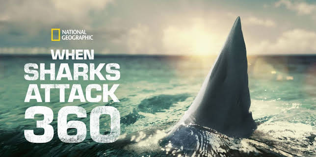 When Sharks Attack 360