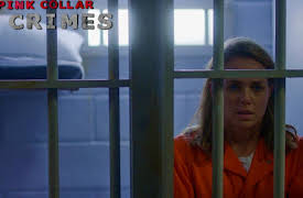 Pink Collar Crimes Season 1: The Outcast of Brownstone Brooklyn