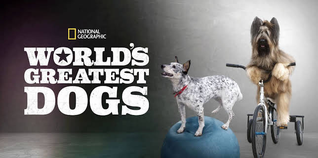 World's Greatest Dogs (2016)