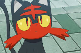 Pokémon the Series: Sun & Moon: First Catch in Alola, Ketchum-Style!