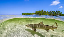 Ein perfekter Planet (4/5)