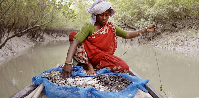 16:55: Sundarbans, im Reich der Königstiger | Arte | 1/19 2026