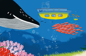 Mouk: Whale Watchers