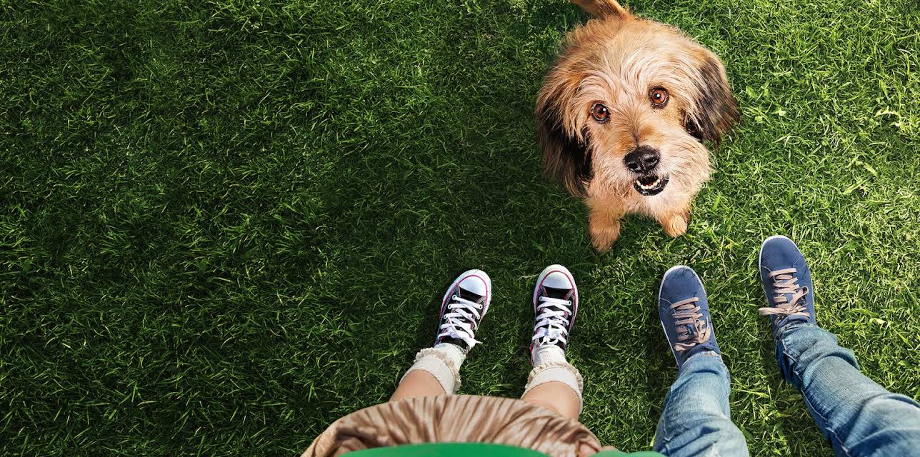 Benji (2018)