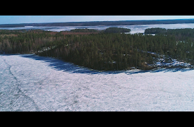 Design by Lauri: Episode 4