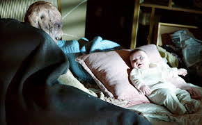 Charmed - Zauberhafte Hexen