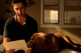 Turner & Hooch, S1: Road to Smell Dorado