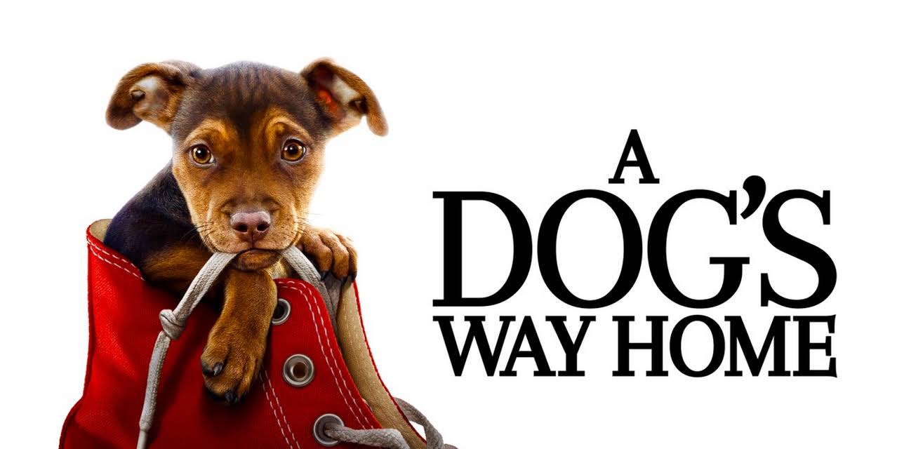 A Dog's Way Home (2019)