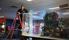 Tanked
