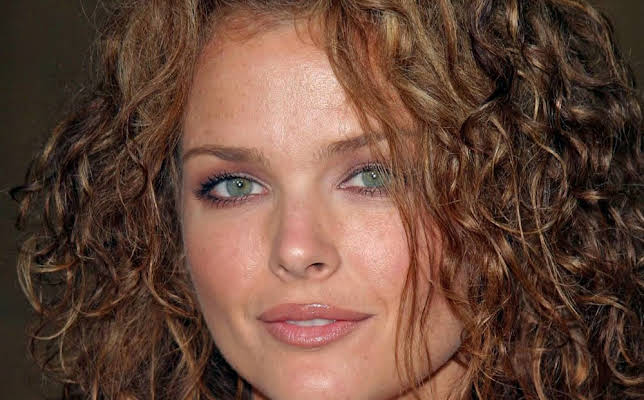 Dina Meyer