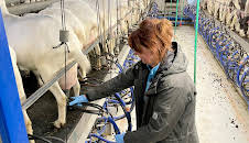 Die Nordreportage: Tierisch andere Milch