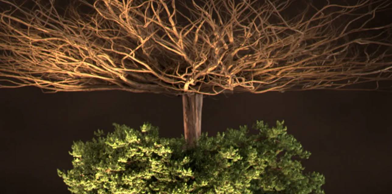 Secret Life Underground