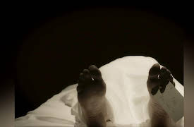 The First Kill Season 1: Beauty Queen Killer