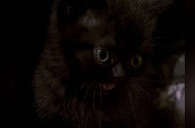 The Haunted Season 1: The Door