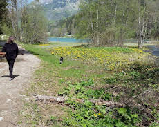 Die Seele des Essens