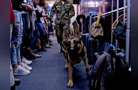 Stop! Border Control: STOP! Border Control