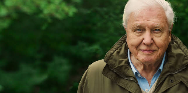 David Attenborough: Una vida en nuestro planeta (2020)