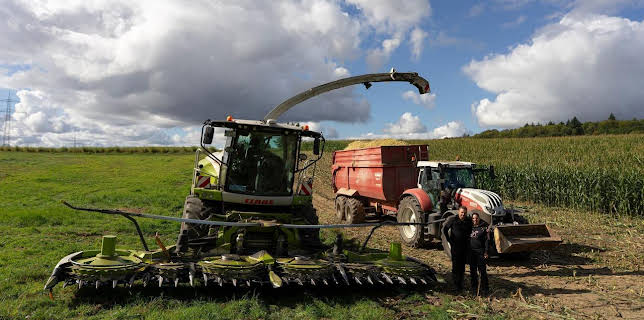 18:15: Die Nordreportage: Werner & Robby retten die Ernte | NDR Fernsehen | 11/19 2025