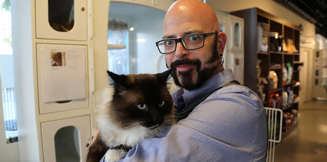 16:00: My Cat From Hell (S8 E4) (S8) | Animal Planet | 11/24 2025