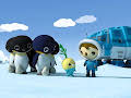 Octonauts