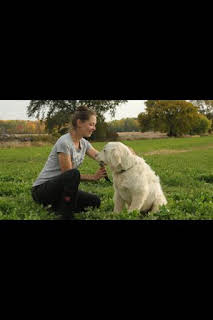 07:00: La increíble granja del Dr. Pol: Tormenta de ideas para el establo | Nat Geo Wild | 1/9 2026