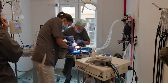 18:35: Dyreklinikken (S1 E2) (S1) | TV8 | 11/9 2025