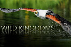 Wild Kingdoms: Lords of the River