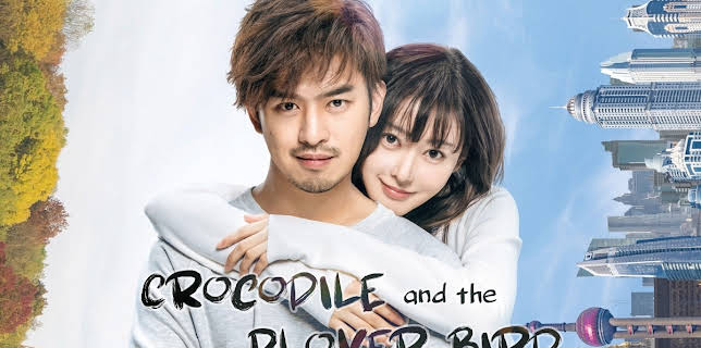 Crocodile and The Plover Bird