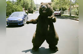 Outrageous 911 Season 1: TP-Emergency