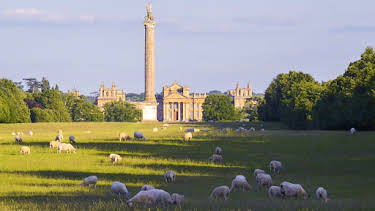 1:05 PM: Blenheim Palace: Behind the Grandeur (S1 E2) (S1) | Channel 5 | 7/18 2026