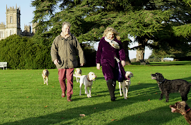 Highclere: Behind the Scenes: The Gala