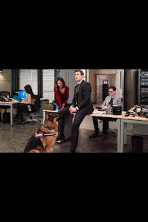 05:19: Hudson y Rex (T3): Ep.16 El arte de robar | AXN | 10/28 2026