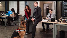 Hudson y Rex (T3): Ep.16 El arte de robar