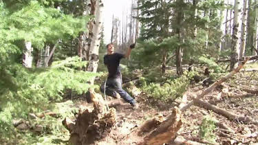 17:00: Ax Men (S8 E5) (S8) | TV10 | 4/3 2026