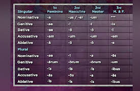 Latin 101: Learning a Classical Language: First- and Second-Declension Adjectives