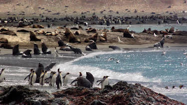 6:00 PM: Frozen Planet (S1 E3) (S1) | Yesterday | 12/31 2025