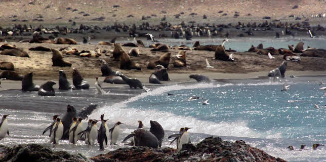 2:00 AM: Frozen Planet (S1 E3) (S1) | Yesterday | 1/1 2026