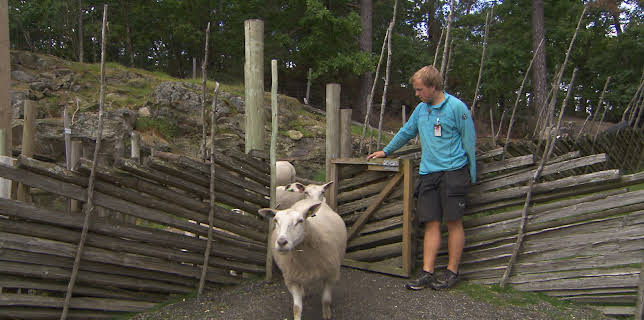 16:55: Dyrepasserne | TV 2 | 11/11 2025