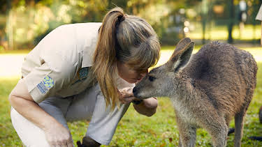 07:00: Crikey! It's the Irwins (S2 E2) (S2) | Animal Planet | 12/29 2025