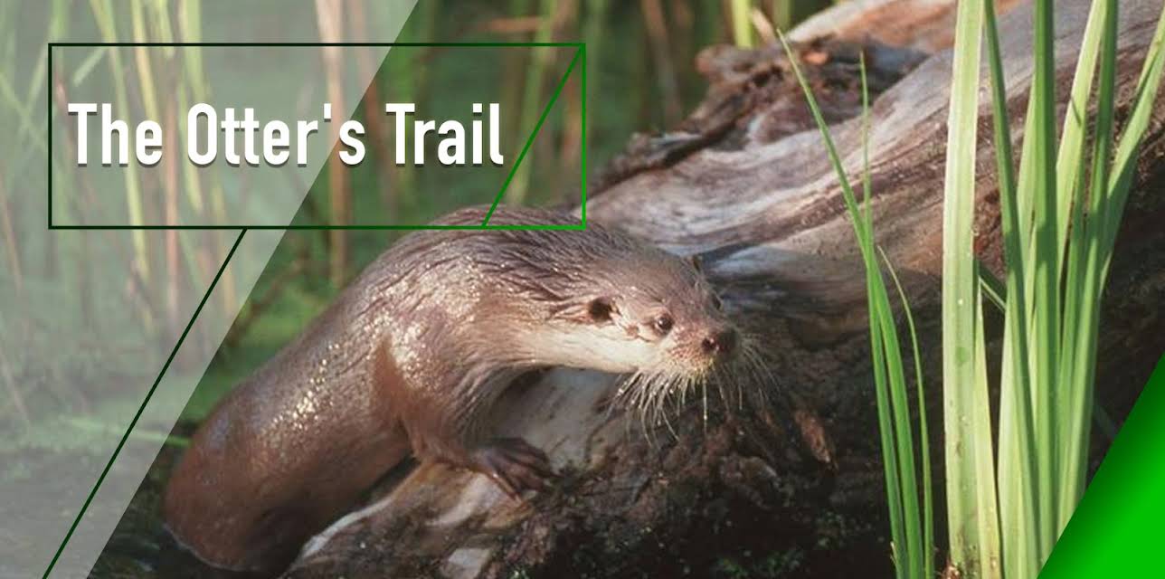 The Otter's Trail (1998)