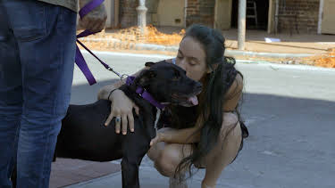 15:00: Pit Bulls & Parolees (S9 E16) (S9) | Animal Planet | 4/4 2026