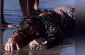 The Flash Season 1 (Classic Series): Pilot (The Flash)