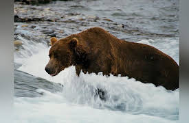 Journey with Dylan Dreyer S1: Adventure Alaska