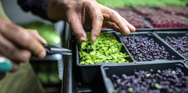 10:30: aktiv und gesund | ARD Alpha | 1/16 2026